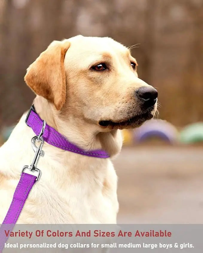 Reflective Dog Collar Strap with Adjustable Safety Nylon Pet Collar